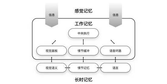 那些很熟悉但又叫不出名字的设计法则工作记忆模型